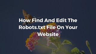 How To Find And Edit Your Robots txt File On Your WordPress Website