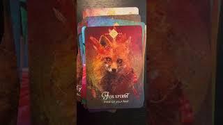 The Spirit Animal Oracle by Colette Baron-Reid 60 Second Full Deck Flip Through #oraclecards