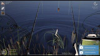 THE BEST EEL FISHING ON THE VOLKOV RIVER (THE BEST FARM FOR MEDIUM LEVEL)