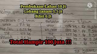 BERAPA BIAYA INVESTASI KEBUN SAWIT DARI NOL HINGGA PANEN DAN BALIK MODAL???