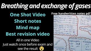 Mind map One shot Video Breathing and exchange of gases NEET Class 11 Biology AIIMS