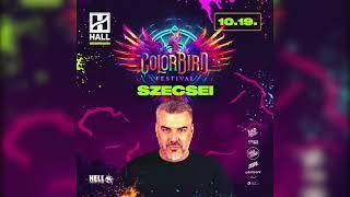 SZECSEI - ColorBird Festival - HALL, Debrecen - 2024.10.19.