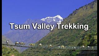 Tsum Valley Trekking