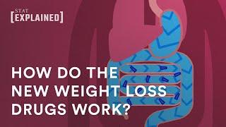 How do the new weight loss drugs work?