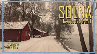 Sweden, Stockholm - Winter walk in Huvudsta Strand #567