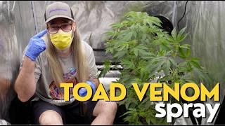 Toad Venom STS Reversal Spray w/ Chad Westport : Spider Farmer 6" oscillating fan