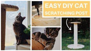 EASY DIY Cat Scratcher Post PLUS Must Know Tips!