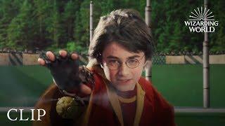 Harry's First Quidditch Match Against Slytherin - Harry Potter and the Philosopher's Stone