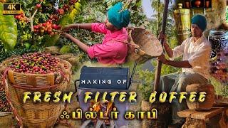 Filter Coffee making from Fresh Coffee Beans | Filter Coffee at home | Tamil Native Farmer