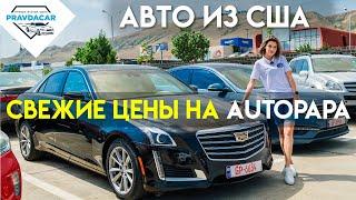 Обзор авторынка Autopapa. Цены на авто из Грузии 2021.