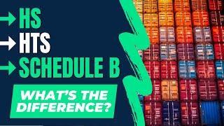 HS Codes, HTS Codes and Schedule B Codes: What's the Difference?