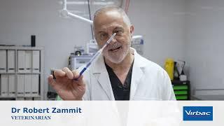 Questions About Medical Castration with Dr Rob Zammit