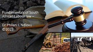 Fundamentals of South African labour law   Dr Philani L Ndlovu