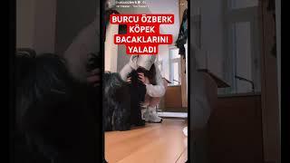 Burcu özberk köpek bacaklarını yaladı #shortsvideo #shortvideo #shorts #short #shortsyoutube #love