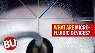 What Are Microfluidic Devices? (Synthetic Biology's Secret Weapon)