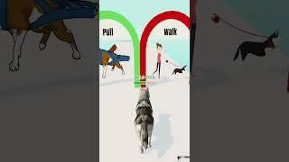 DOGGY RUN GAMEPLAY WALKTHROUGH  | DOG SWEET  | ANDROID, iOS MOBILE | NEW UPDATE #SHORTS GAMES #0