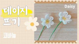 초보 코바늘, 데이지 꽃 뜨는 법, Crochet Daisy