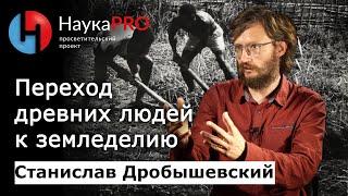 Переход человека к земледелию и скотоводству | Лекции по антропологии – Станислав Дробышевский