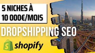 5 niches à 10 000€/mois en Dropshipping SEO