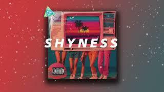 City Pop x Jazz Funk Type Beat "Shyness" 시티팝 타입 비트 Funk 80's