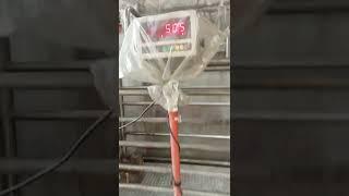 calibrate 500-kg hog scale