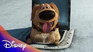 Up Anniversary: Dug's Iconic Moments | Disney