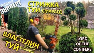 CRAZY HOT GUY WORKING WITH CONIERS | LORD OF CONIFERS | MINSK | BELARUS