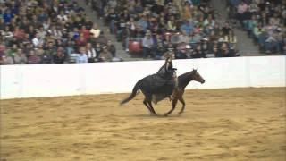 Stacy Westfall - 2011 Congress Freestyle Reining Bridleless- Can Can Vaquero