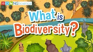 What is Biodiversity?