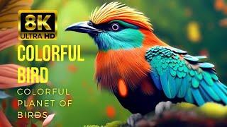 The Most Colorful Birds 8K - Relaxing Scenery Movie With Soft, Soothing Music