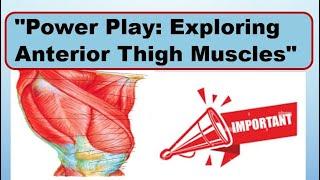 Muscles of Anterior Compartment of Thigh-Detailed Anatomy| Anatomy Student Zone