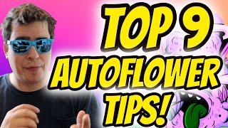 TOP 9 AUTOFLOWER TIPS THAT YOU NEED TO KNOW IN 2022!