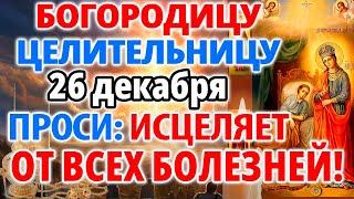 24 декабря ПРОСИ СЕГОДНЯ ИСЦЕЛЯЕТ ОТ ВСЕХ БОЛЕЗНЕЙ! Молитва Богородице Целительница. Православие