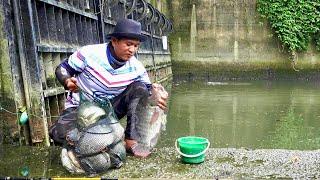 Ngeri ngeri Sedap Mancing ikan Nila di Spot ini dapat Banyak Babon Bikin jiwa Pemancing Meronta