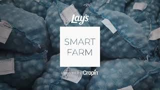 Lay's Smart Farm  Case