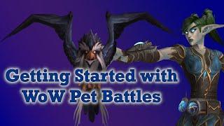 Your FIRST level 25 Battle Pet | How to level your first battle pet fast