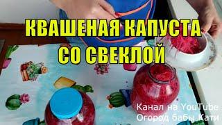 Рецепт хрустящей квашеной капусты со свеклой. Как квасить капусту.