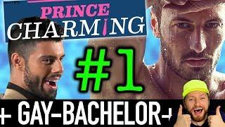 Prince Charming Folge 1: Der Gay-Bachelor ist da! Alle VOX-Kandidaten