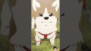 When yamada  & her cute dog #anime #yamada #shorts #viral