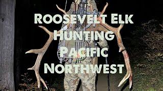 Roosevelt Elk Hunting • Pacific Northwest