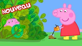 Les histoires de Peppa Pig | La cabane à jardin | Épisodes de Peppa Pig