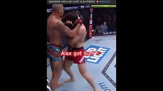 Alex vs magomed.  Alex got hurt #ufc #mma #legend #boxing #alexpereira #magomedankalaev