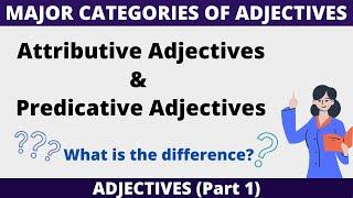 Attributive Adjectives and Predicative Adjectives