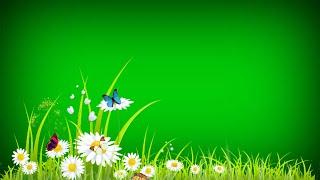 Green screen flower effect | Butterfly green screen background video | green screen grass flower