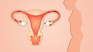 Cervix and vagina || histology Explain