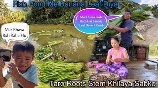 Fish Pond Me Banana Leaf Diya Ab Masli Bada Hoga Jadu|| Hume Kiya Pani Se Naha Padta Hai