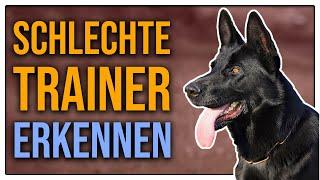 Beim falschen Trainer gelandet - daran erkennst du gute Hundeschulen oder Vereine - TGH 443