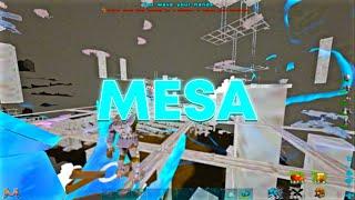 MESA Ark | Wiping Bobs