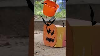 A spook-tacular time with enrichment, join us over on Patreon for the full videos! #halloween