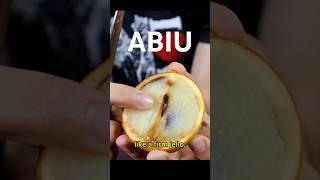 ABIU - Like jello that grows from a tree